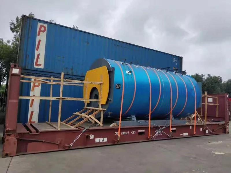 Gas oil fired molten salt boiler