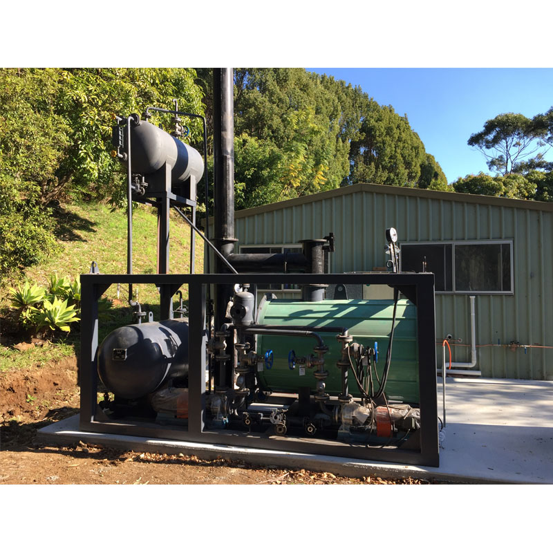 Water tube gas fired steam boiler