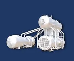 biomass hot water boiler
